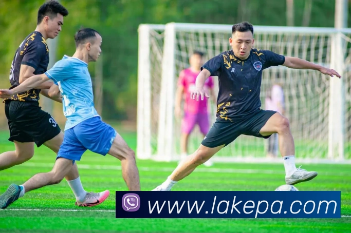 pa真人视讯平台生态图