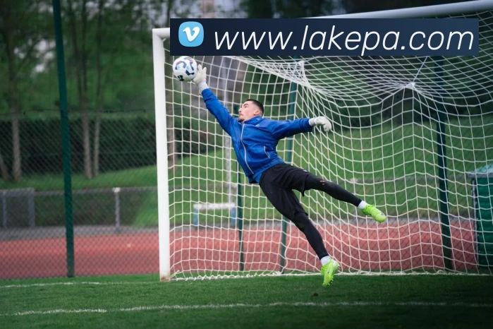 pa真人视讯APP 封面图